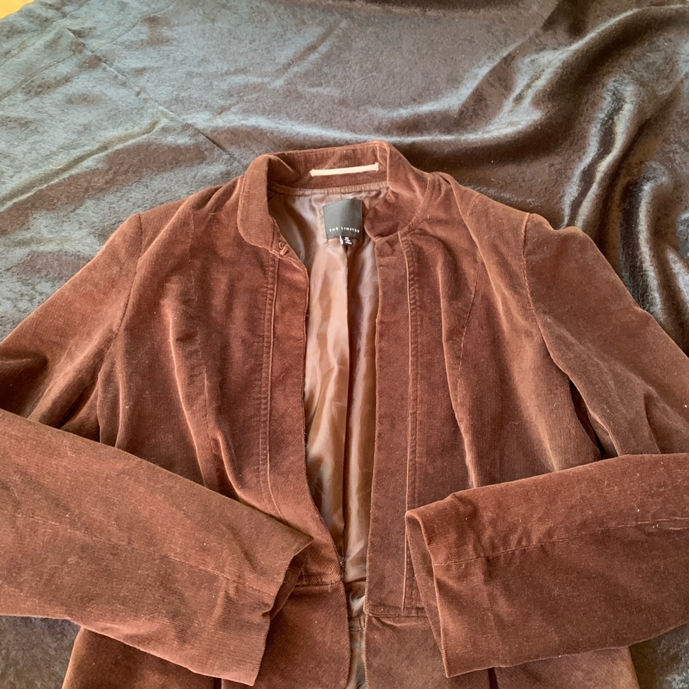 The Limited Chocolate Velvet Blazer